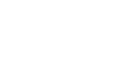 X3